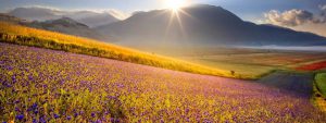 castelluccio-di-norcia-la-pace-del-cuore